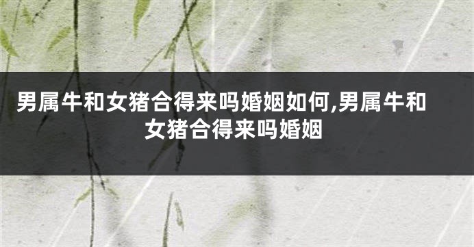 男属牛和女猪合得来吗婚姻如何,男属牛和女猪合得来吗婚姻