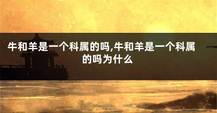 牛和羊是一个科属的吗,牛和羊是一个科属的吗为什么