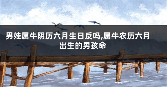 男娃属牛阴历六月生日反吗,属牛农历六月出生的男孩命