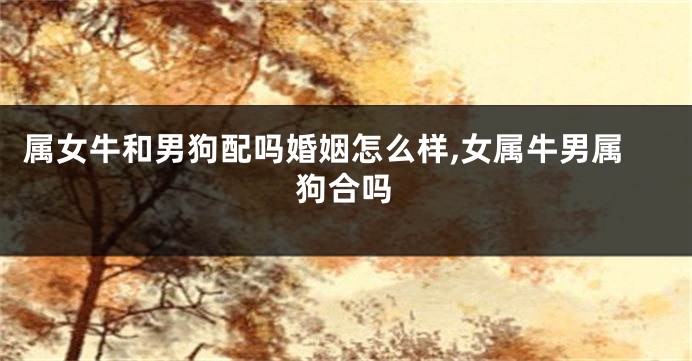 属女牛和男狗配吗婚姻怎么样,女属牛男属狗合吗