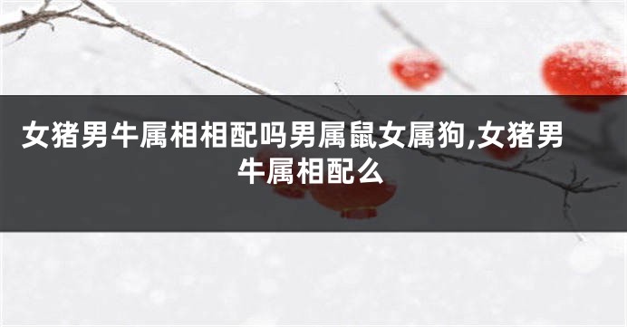 女猪男牛属相相配吗男属鼠女属狗,女猪男牛属相配么