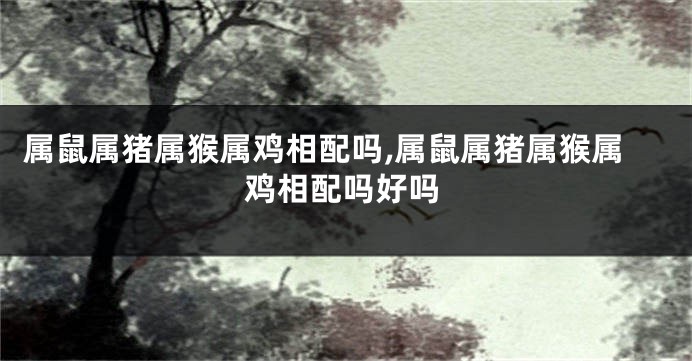 属鼠属猪属猴属鸡相配吗,属鼠属猪属猴属鸡相配吗好吗