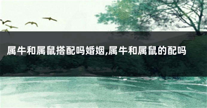 属牛和属鼠搭配吗婚姻,属牛和属鼠的配吗