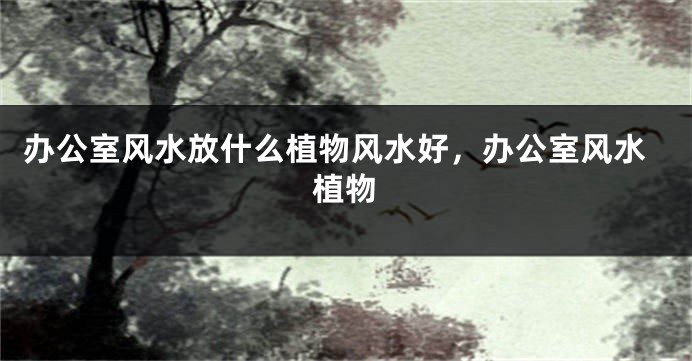 办公室风水放什么植物风水好，办公室风水植物