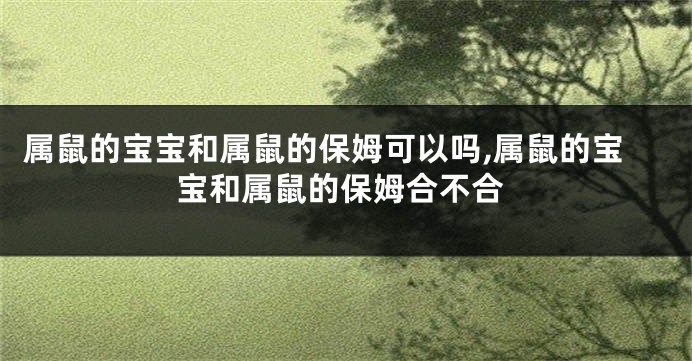 属鼠的宝宝和属鼠的保姆可以吗,属鼠的宝宝和属鼠的保姆合不合