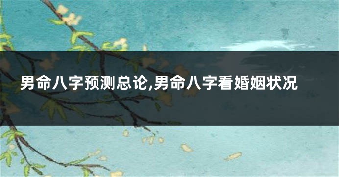 男命八字预测总论,男命八字看婚姻状况