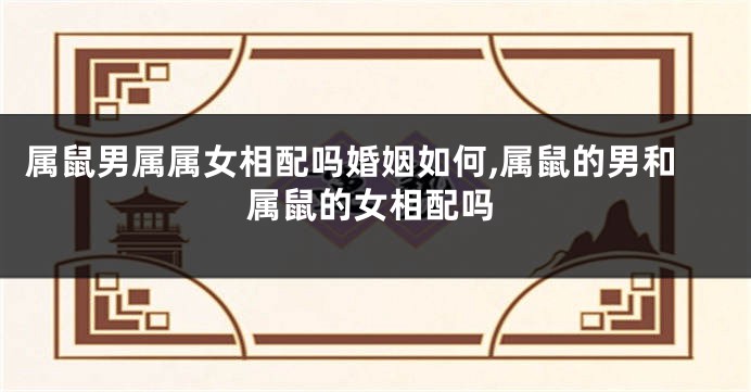 属鼠男属属女相配吗婚姻如何,属鼠的男和属鼠的女相配吗