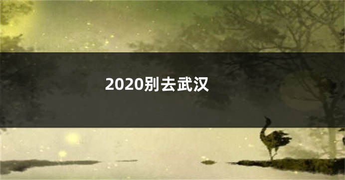 2020别去武汉