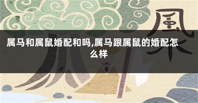 属马和属鼠婚配和吗,属马跟属鼠的婚配怎么样