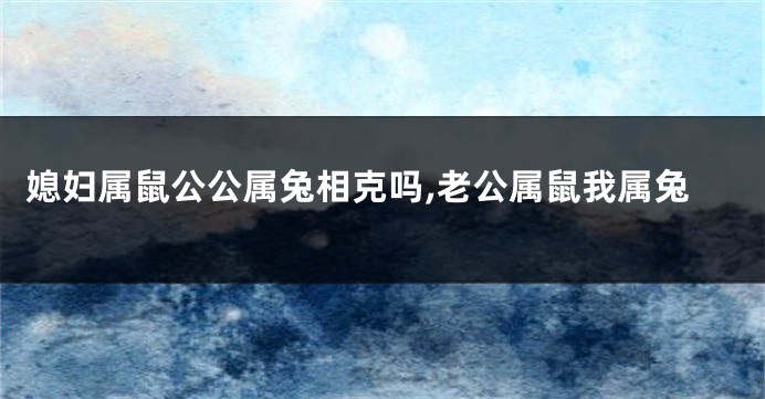 媳妇属鼠公公属兔相克吗,老公属鼠我属兔