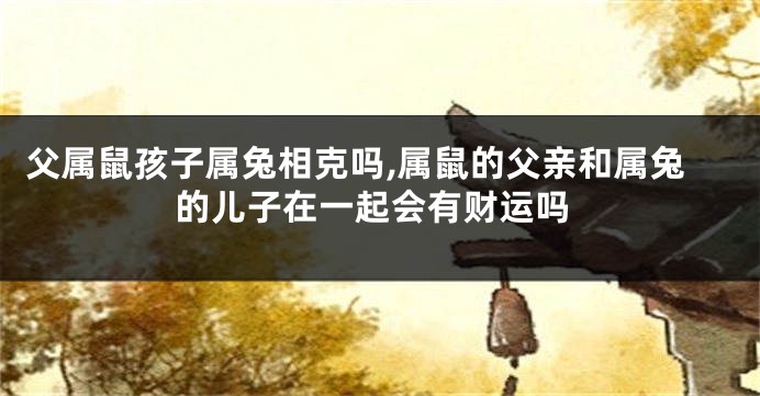 父属鼠孩子属兔相克吗,属鼠的父亲和属兔的儿子在一起会有财运吗