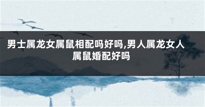 男士属龙女属鼠相配吗好吗,男人属龙女人属鼠婚配好吗