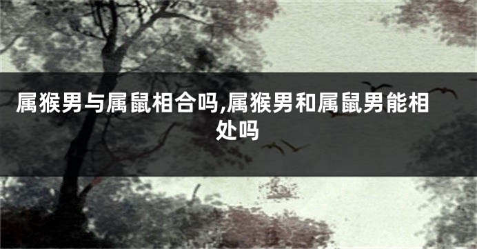 属猴男与属鼠相合吗,属猴男和属鼠男能相处吗