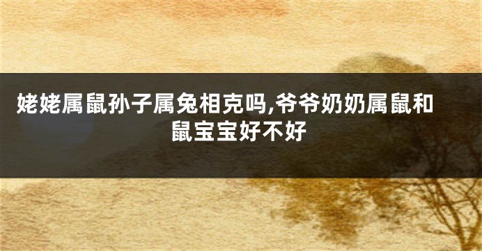 姥姥属鼠孙子属兔相克吗,爷爷奶奶属鼠和鼠宝宝好不好