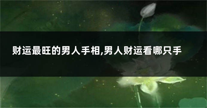 财运最旺的男人手相,男人财运看哪只手