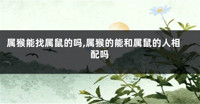 属猴能找属鼠的吗,属猴的能和属鼠的人相配吗