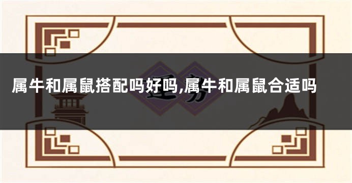 属牛和属鼠搭配吗好吗,属牛和属鼠合适吗