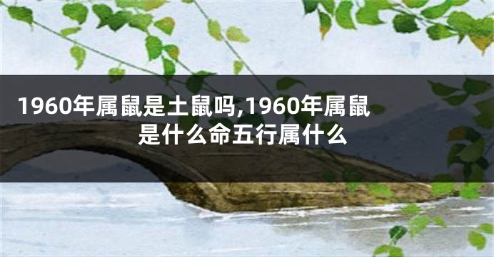 1960年属鼠是土鼠吗,1960年属鼠是什么命五行属什么