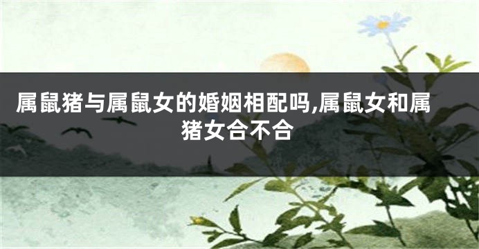属鼠猪与属鼠女的婚姻相配吗,属鼠女和属猪女合不合