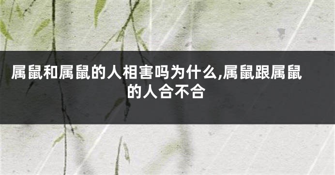属鼠和属鼠的人相害吗为什么,属鼠跟属鼠的人合不合