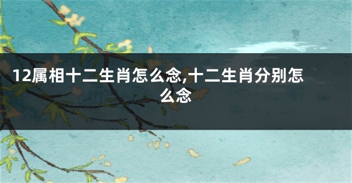 12属相十二生肖怎么念,十二生肖分别怎么念