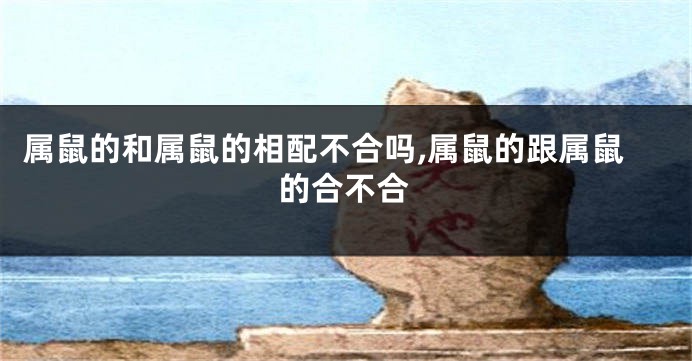 属鼠的和属鼠的相配不合吗,属鼠的跟属鼠的合不合