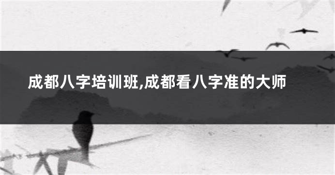 成都八字培训班,成都看八字准的大师