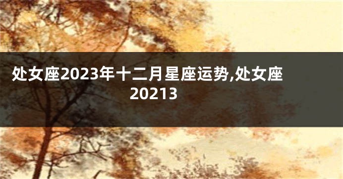 处女座2023年十二月星座运势,处女座20213