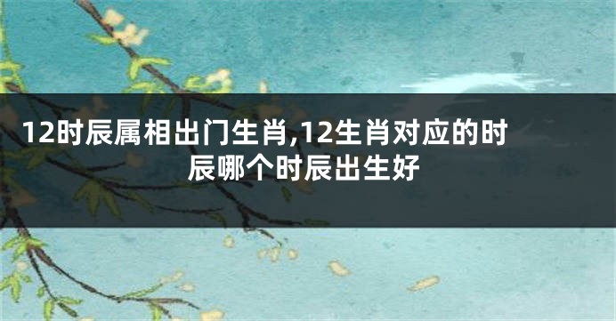 12时辰属相出门生肖,12生肖对应的时辰哪个时辰出生好