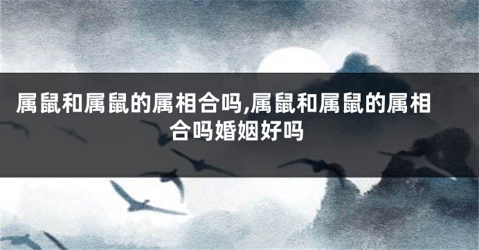 属鼠和属鼠的属相合吗,属鼠和属鼠的属相合吗婚姻好吗