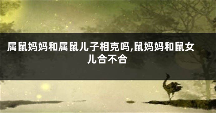 属鼠妈妈和属鼠儿子相克吗,鼠妈妈和鼠女儿合不合