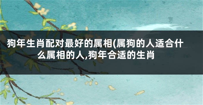 狗年生肖配对最好的属相(属狗的人适合什么属相的人,狗年合适的生肖