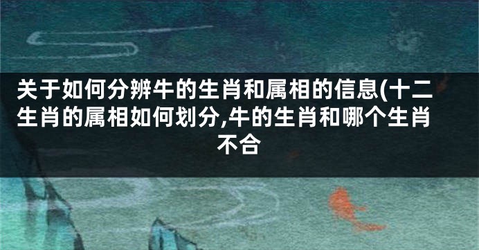 关于如何分辨牛的生肖和属相的信息(十二生肖的属相如何划分,牛的生肖和哪个生肖不合