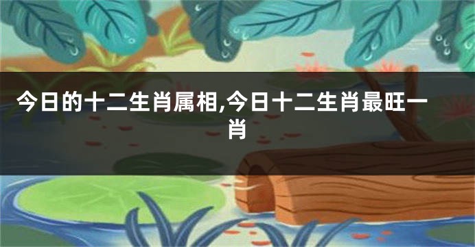 今日的十二生肖属相,今日十二生肖最旺一肖