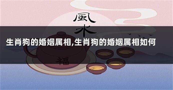 生肖狗的婚姻属相,生肖狗的婚姻属相如何