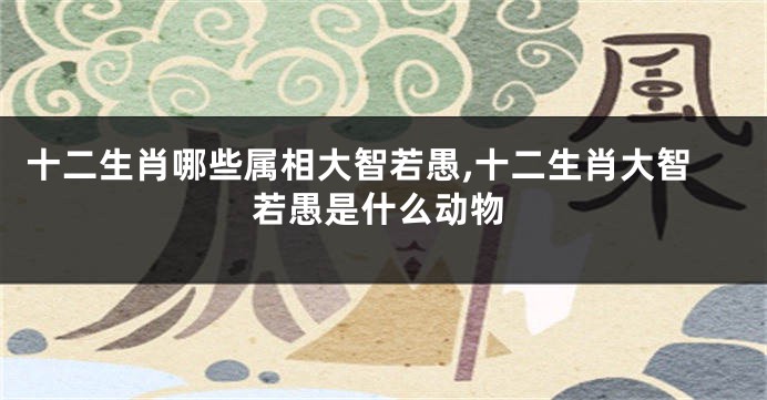 十二生肖哪些属相大智若愚,十二生肖大智若愚是什么动物