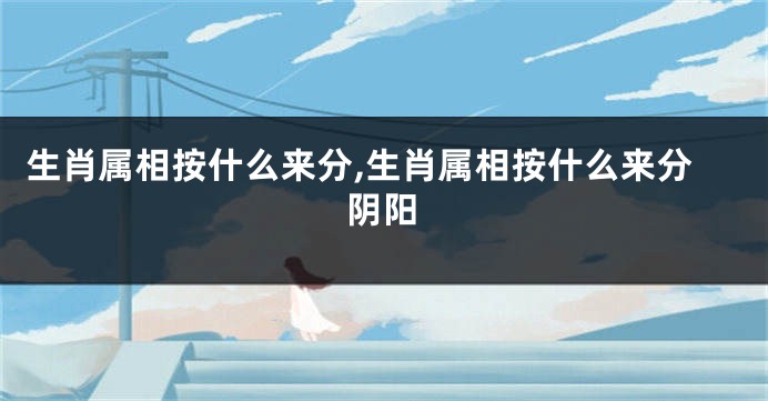 生肖属相按什么来分,生肖属相按什么来分阴阳
