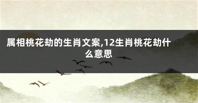 属相桃花劫的生肖文案,12生肖桃花劫什么意思
