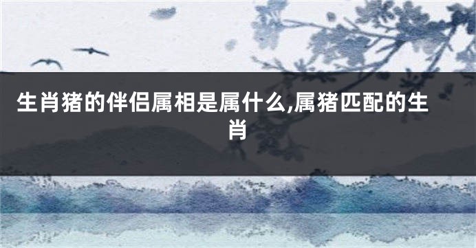 生肖猪的伴侣属相是属什么,属猪匹配的生肖