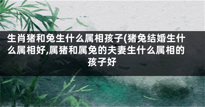 生肖猪和兔生什么属相孩子(猪兔结婚生什么属相好,属猪和属兔的夫妻生什么属相的孩子好