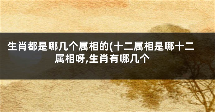 生肖都是哪几个属相的(十二属相是哪十二属相呀,生肖有哪几个