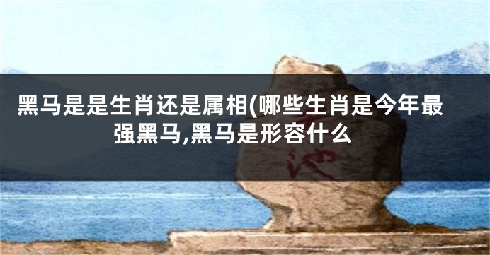 黑马是是生肖还是属相(哪些生肖是今年最强黑马,黑马是形容什么