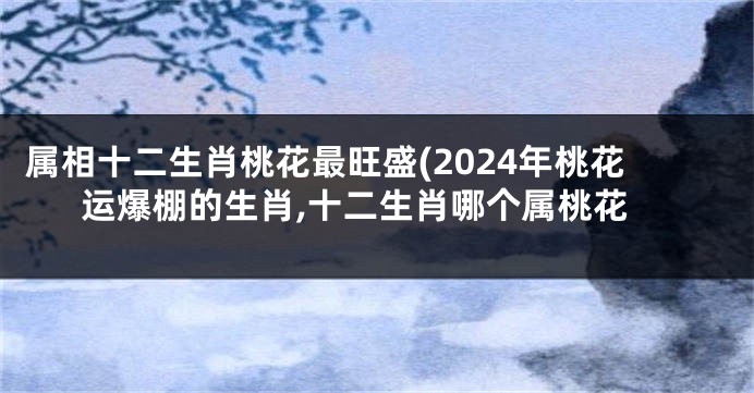 属相十二生肖桃花最旺盛(2024年桃花运爆棚的生肖,十二生肖哪个属桃花