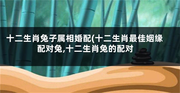 十二生肖兔子属相婚配(十二生肖最佳姻缘配对兔,十二生肖兔的配对