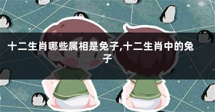 十二生肖哪些属相是兔子,十二生肖中的兔子