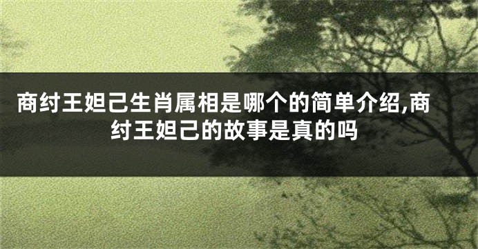 商纣王妲己生肖属相是哪个的简单介绍,商纣王妲己的故事是真的吗