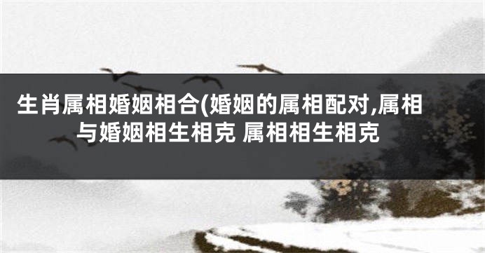 生肖属相婚姻相合(婚姻的属相配对,属相与婚姻相生相克 属相相生相克