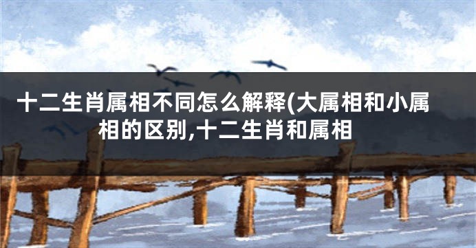 十二生肖属相不同怎么解释(大属相和小属相的区别,十二生肖和属相