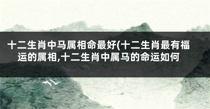 十二生肖中马属相命最好(十二生肖最有福运的属相,十二生肖中属马的命运如何