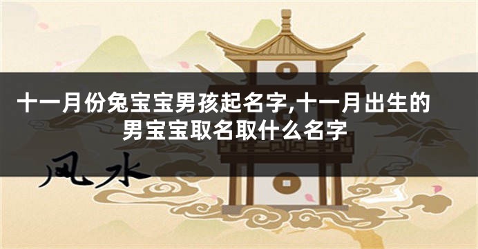 十一月份兔宝宝男孩起名字,十一月出生的男宝宝取名取什么名字